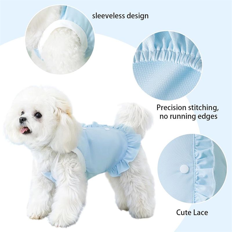 IntiMeg jupe d'Été Rafraîchissante pour Chien et Chat