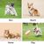 IntiMeg jupe d'Été Rafraîchissante pour Chien et Chat