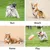 IntiMeg Erfrischender Sommerrock für Hunde und Katzen IntiMeg Erfrischender Sommerrock für Hunde und Katzen