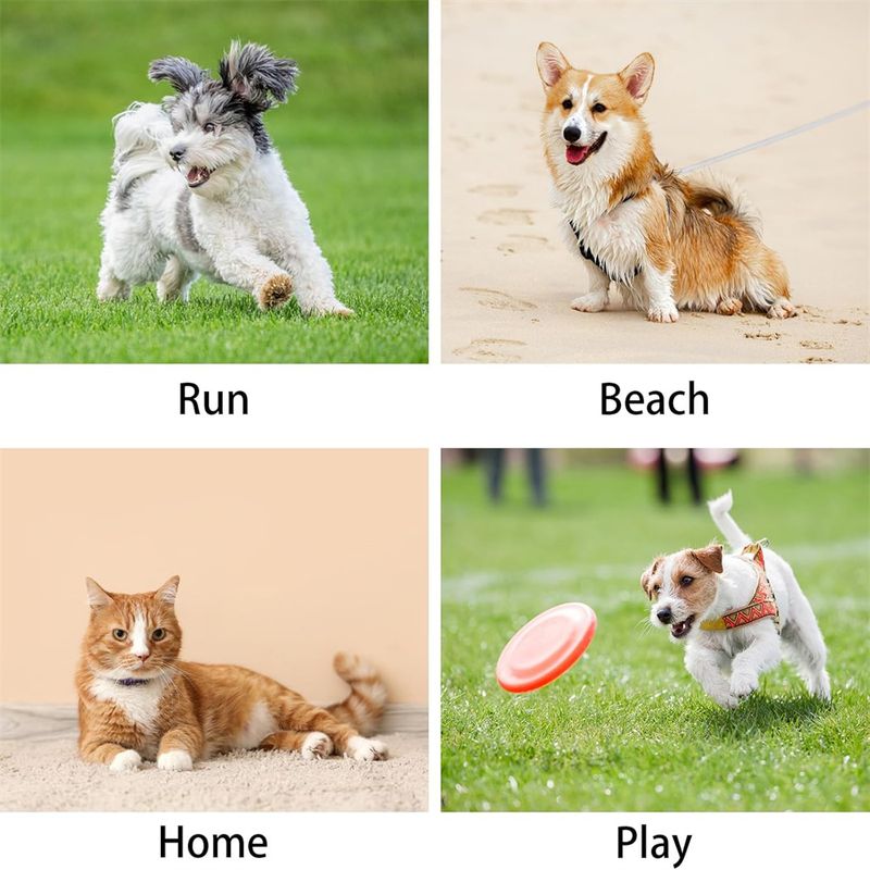 IntiMeg jupe d'Été Rafraîchissante pour Chien et Chat