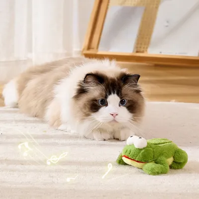 Petopia Jouet électrique pour chat en forme de grenouille