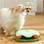 Petopia Jouet multifonctionnel de dispersion de nourriture pour chats