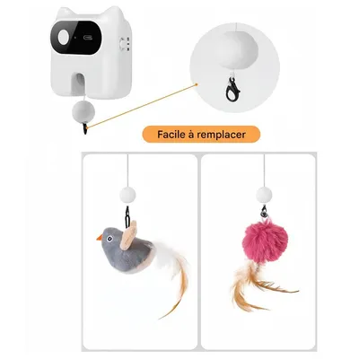 IntiMeg Jeu d'intelligence Chasseur de friandises pour chat