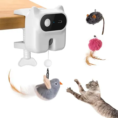 IntiMeg Jeu d'intelligence Chasseur de friandises pour chat