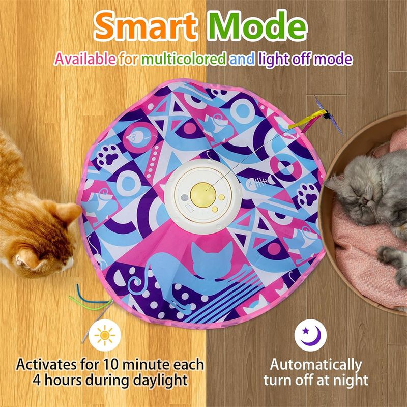 IntiMeg Circuit de jeu pour chat 3 en 1 pour chatons