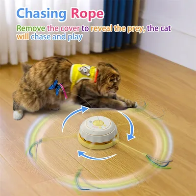 IntiMeg Circuit de jeu pour chat 3 en 1 pour chatons