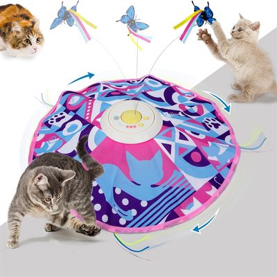IntiMeg Circuit de jeu pour chat 3 en 1 pour chatons