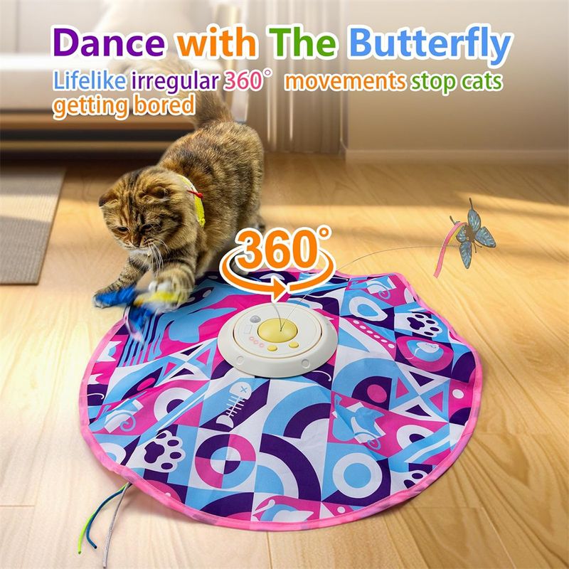 IntiMeg Circuit de jeu pour chat 3 en 1 pour chatons