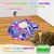IntiMeg Circuit de jeu pour chat 3 en 1 pour chatons