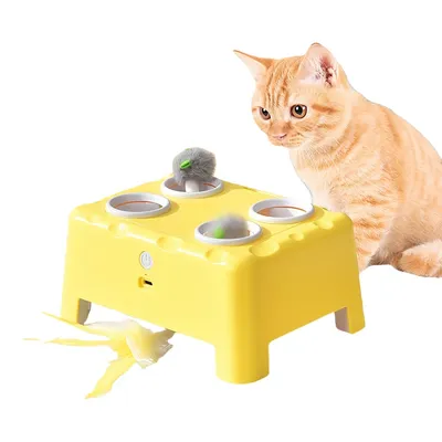 Pet Planet Jouet interactif 2-en-1 pour chat