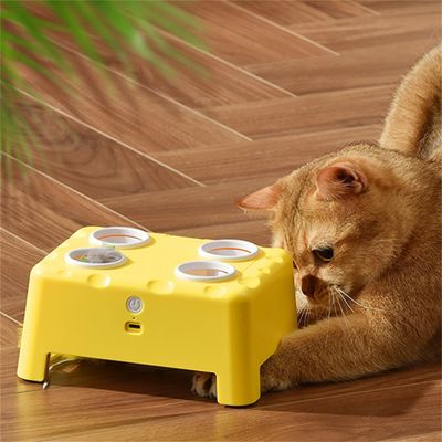 Pet Planet Jouet interactif 2-en-1 pour chat