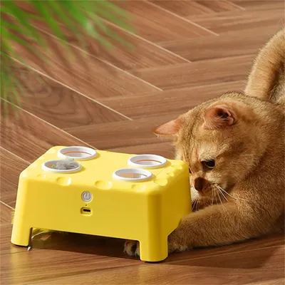 Pet Planet Jouet interactif 2-en-1 pour chat