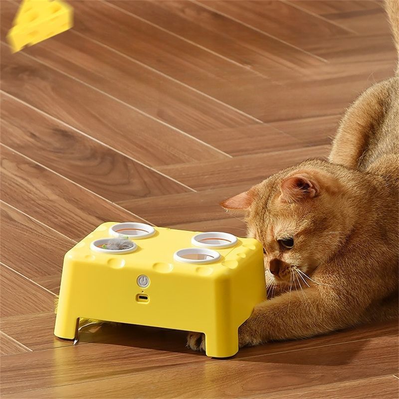 Pet Planet Jouet interactif 2-en-1 pour chat