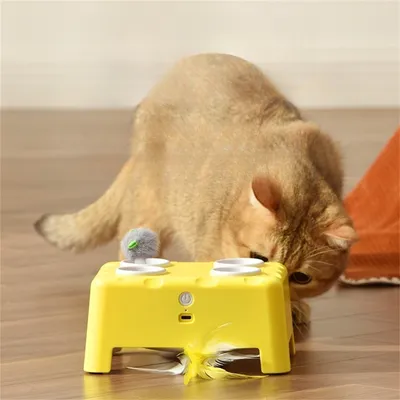 Pet Planet Jouet interactif 2-en-1 pour chat