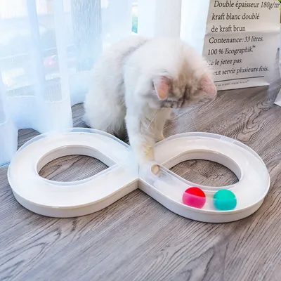 Petopia Disque de jeu interactif pour chat