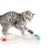Petopia Disque de jeu interactif pour chat
