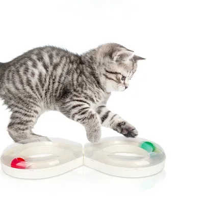 Petopia Disque de jeu interactif pour chat