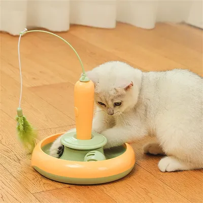 Petopia Jouet électronique pour chats auto - amusant