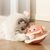 Petopia Jouet interactif 2-en-1 pour chat