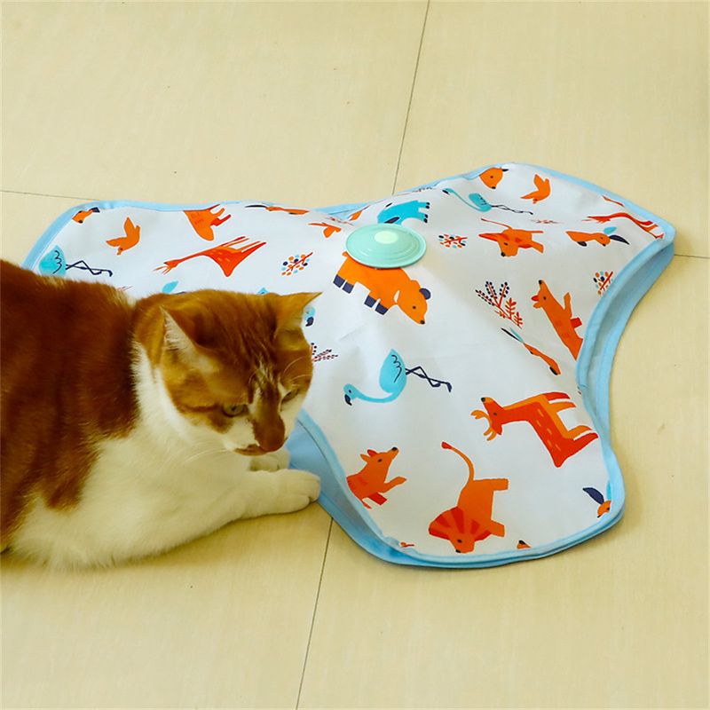 IntiMeg Circuit du chat