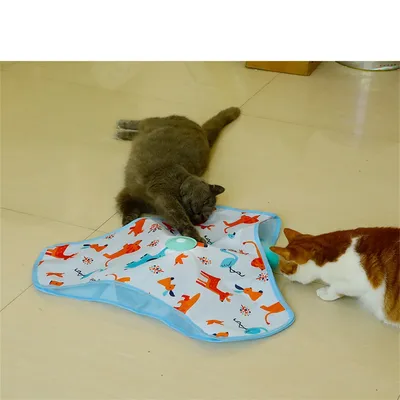 IntiMeg Circuit du chat