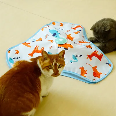 IntiMeg Circuit du chat