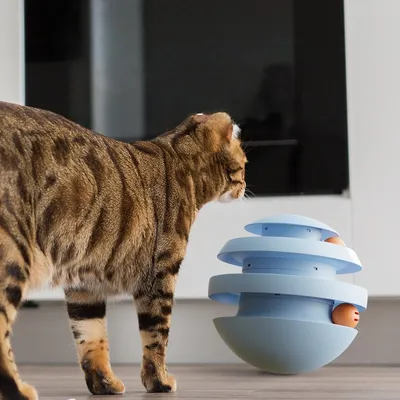 Petopia Disque rotatif pour chat