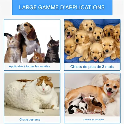 Pet Planet Spray pour plaies des animaux de compagnie 30ml Pet Planet Spray pour plaies des animaux de compagnie 30ml