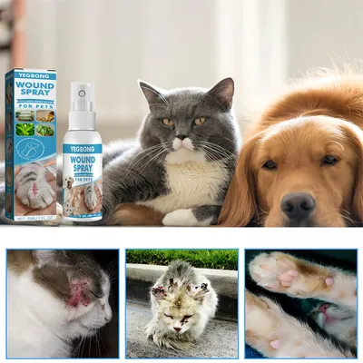 Pet Planet Spray pour plaies des animaux de compagnie 30ml