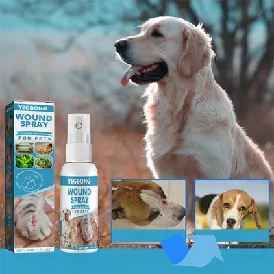 Pet Planet Spray pour plaies des animaux de compagnie 30ml