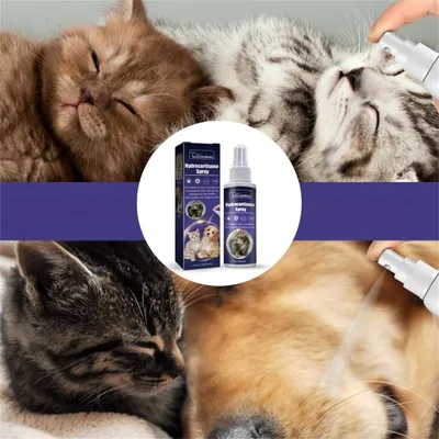 Pet Planet Spray de soin pour chats et chiens 118.56ml Pet Planet Spray de soin pour chats et chiens 118.56ml