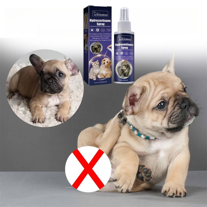 Pet Planet Spray de soin pour chats et chiens 118.56ml