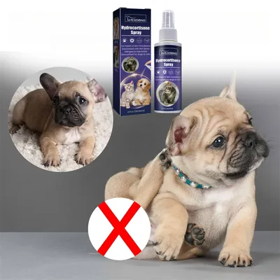 Pet Planet Spray de soin pour chats et chiens 118.56ml Pet Planet Spray de soin pour chats et chiens 118.56ml