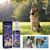 Pet Planet Spray de soin pour chats et chiens 118.56ml