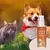 Pet Planet Spray pour plaies et points chauds de l'animal Pet Planet Spray pour plaies et points chauds de l'animal