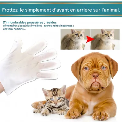 Pet Planet Gants de nettoyage sans eau
