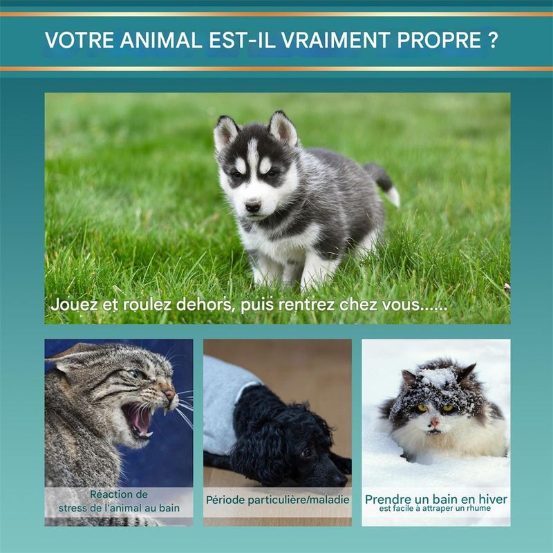 Pet Planet Gants de nettoyage sans eau