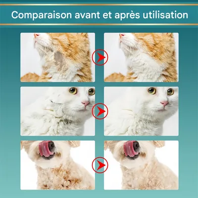 Pet Planet Gants de nettoyage sans eau