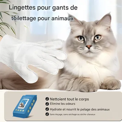 Pet Planet Gants nettoyants sans eau pour chats et chiens