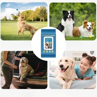 Pet Planet Gants nettoyants sans eau pour chats et chiens