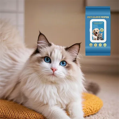 Pet Planet Gants nettoyants sans eau pour chats et chiens