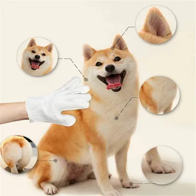 Pet Planet Gants nettoyants sans eau pour chats et chiens