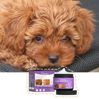 Pet Planet Conditionneur pour poils de chats et chiens 50ml