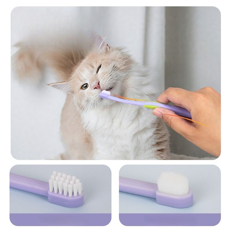 IntiMeg Kit de dentifrice et de brosse à dents pour chat