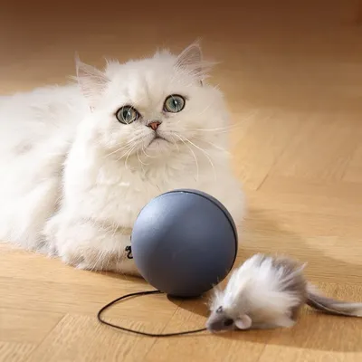 Petopia Balle électronique pour chat