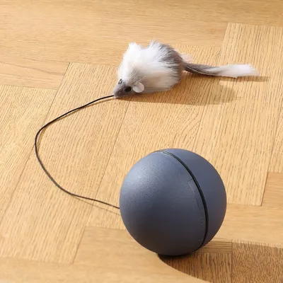 Petopia Balle électronique pour chat