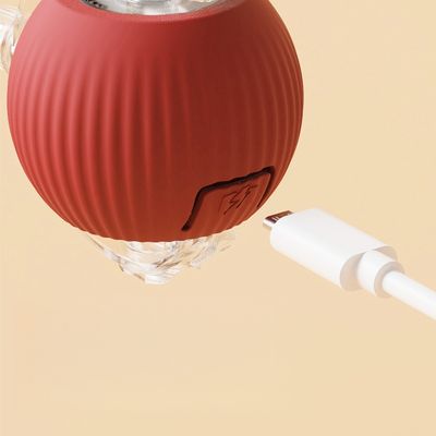 Petopia Balle pour chat auto - amusante avec corde