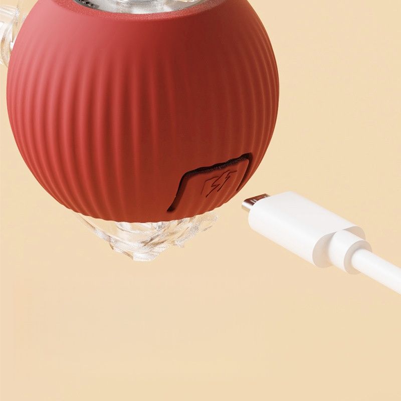 Petopia Balle pour chat auto - amusante avec corde