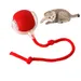 Petopia Balle pour chat auto - amusante avec corde