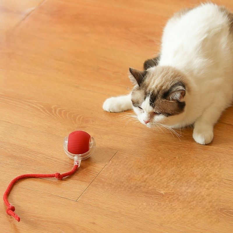 Petopia Balle pour chat auto - amusante avec corde